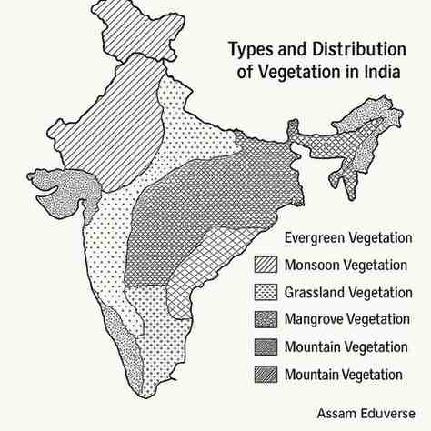 What are the different vegetation types found in India? Mention them in a map.