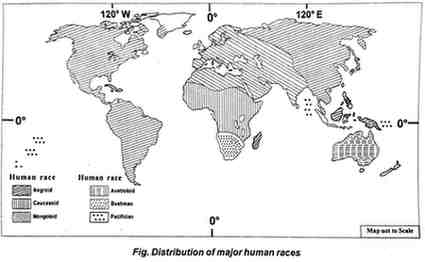 With the help of sketch briefly write about the spread and distribution of major human races in the world | Assam Eduverse – Powering Your Potential